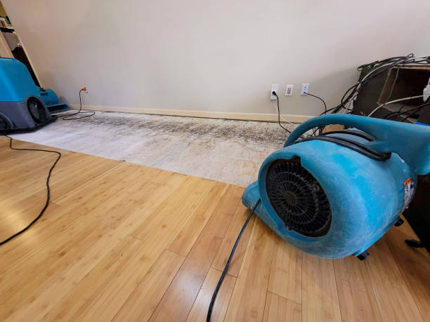 Professional Water Damage Repair technician working in Longview, WA